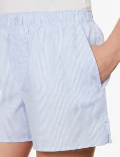 Shay Striped Cotton Shorts -Whistles Store R04183728 DUSTYBLUWHTSTRIPE ALT04